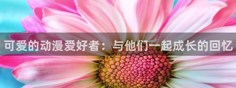 风车动漫网站手机版：可爱的动漫爱好者：与他们一起成长的回忆